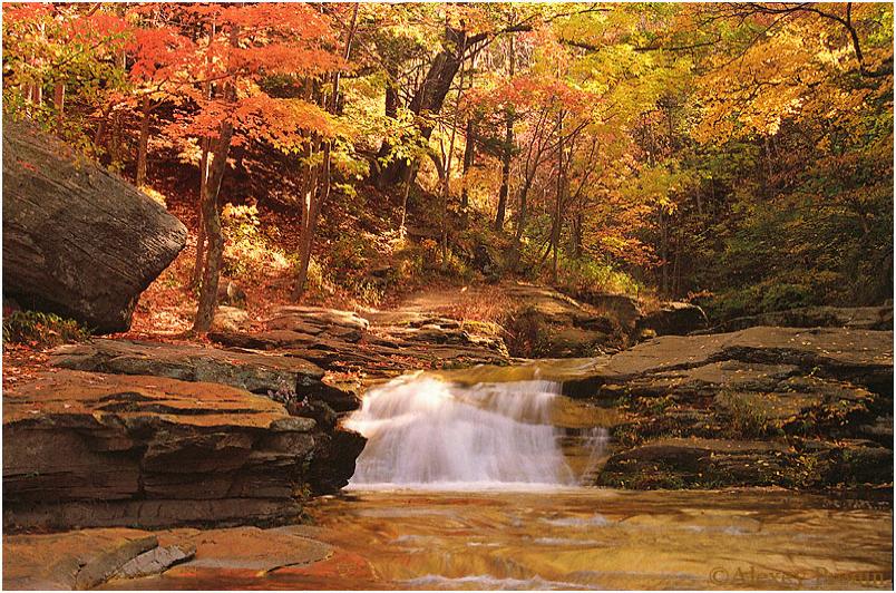 autumn in new york